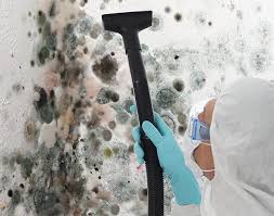 Forensic Mold Investigation in Willow Oak, FL